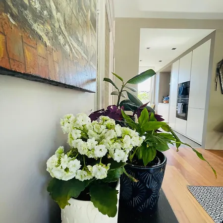 Garden - Terrasse Centre Apartmán *